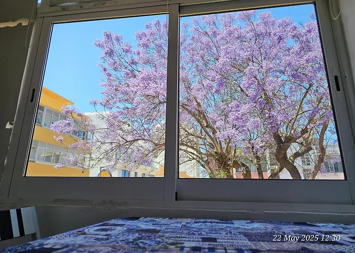 Blife Farensya Private Faro